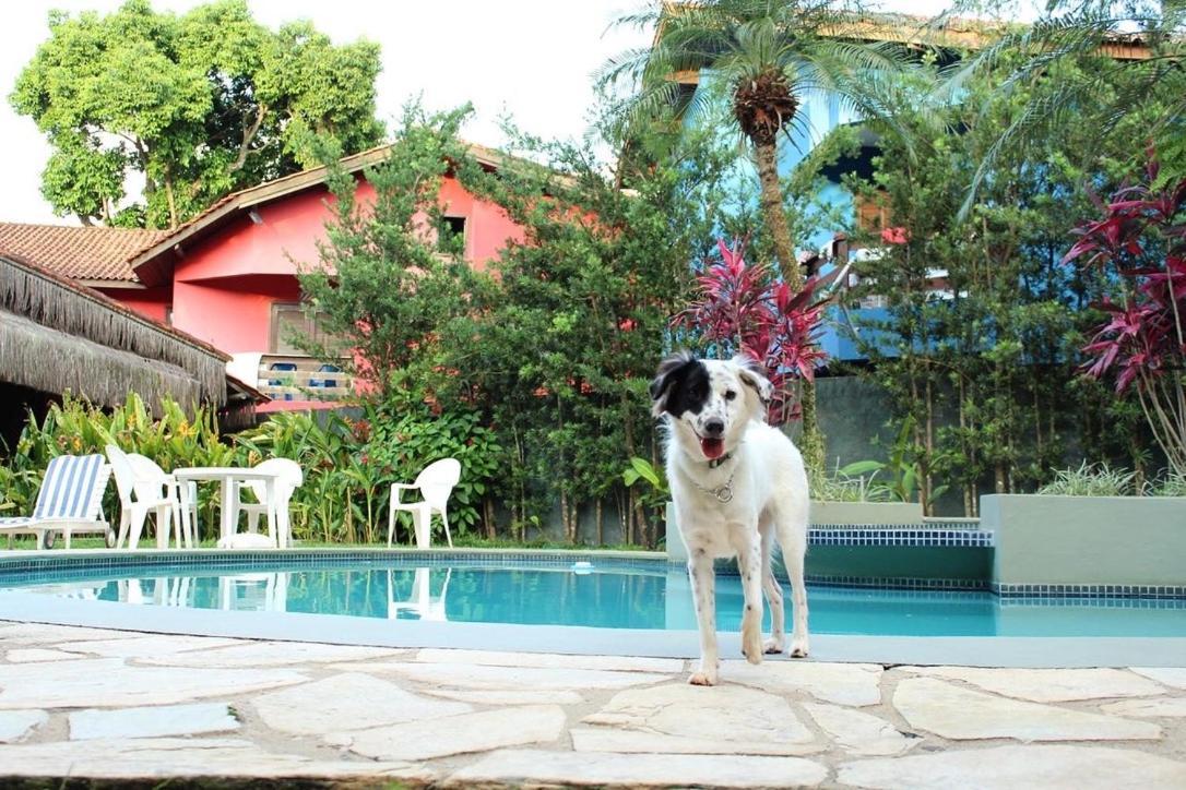 Pousada North Shore Maresias - 2 Quadras Da Praia - Casas De 2 Quartos - 80 M2 -2 Banheiros -Piscina Sauna - Estacion-Churrasq Privativa -Wifi Animais De Peq Porte Roupa De Cama E Banho Exteriér fotografie